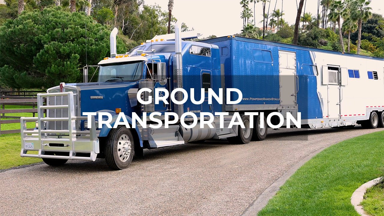 Ground Horse Transportation: Ensuring Safe, Smooth Journeys for Horses - Walking & Talking