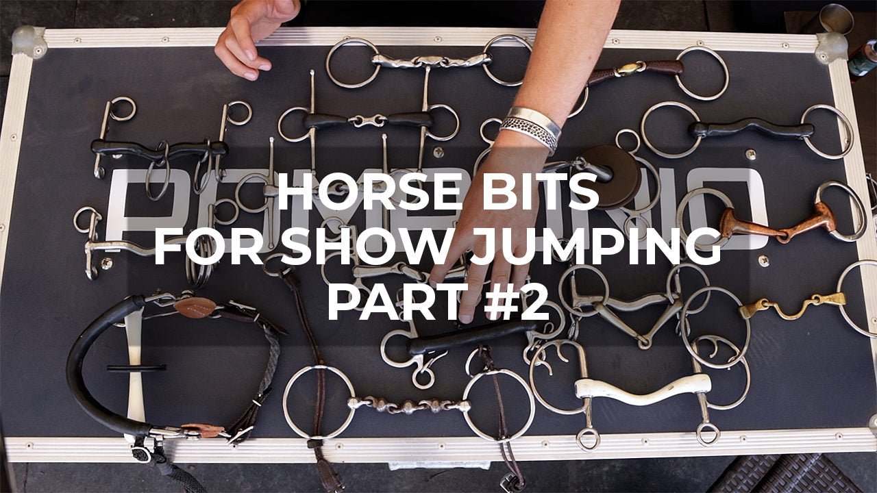 Horse Bits for Show Jumping Part 2 - Understanding Bit Varieties - Walking & Talking