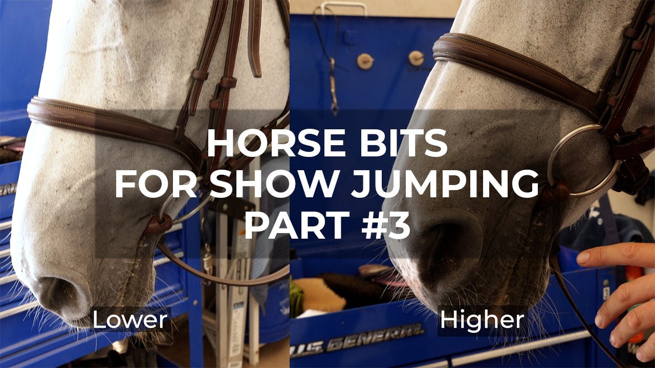 Horse Bits for Show Jumping Part 3 - Fitting and Adjusting Bits - Walking & Talking