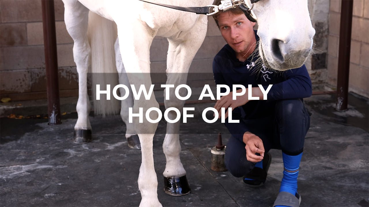 How to Apply Hoof Oil: The Secret to Healthy, Strong Hooves for Jumpers - Walking & Talking