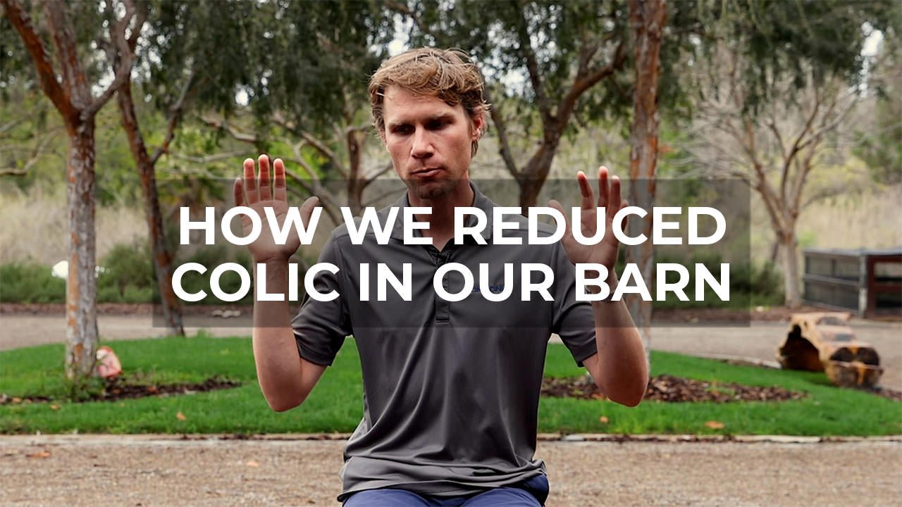 How We Reduced Colic in Our Barn: Simple Steps for Peace of Mind - Walking & Talking