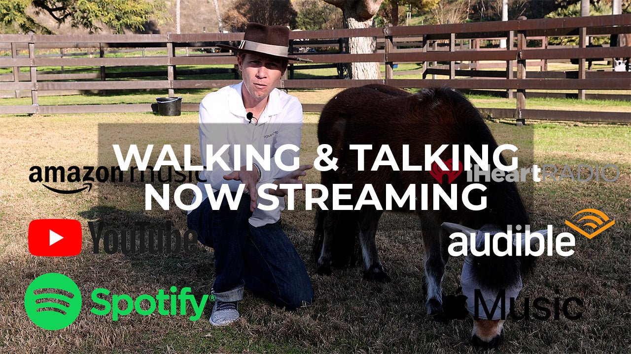 Now Streaming: Join the 'Walking & Talking' Journey on Your Favorite Platform! - Walking & Talking