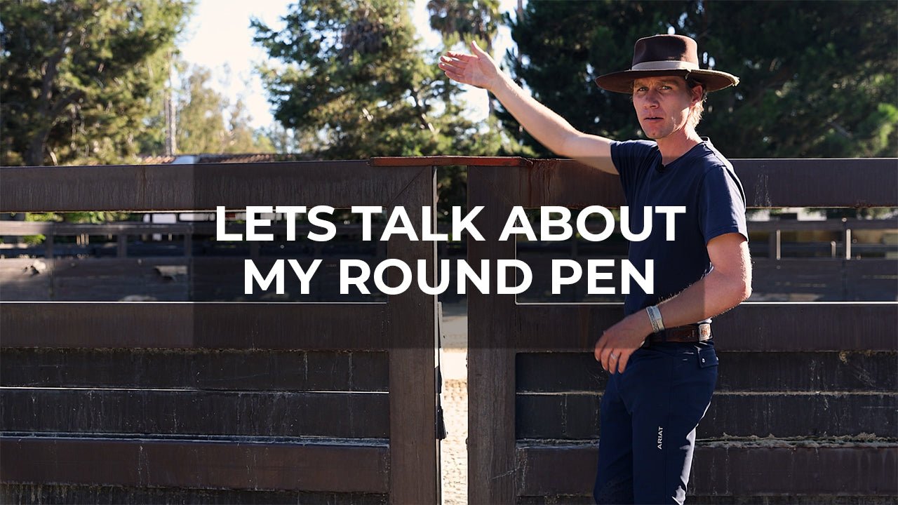 The Power of the Round Pen & How It Encourages The Horse To Stay Engaged - Walking & Talking