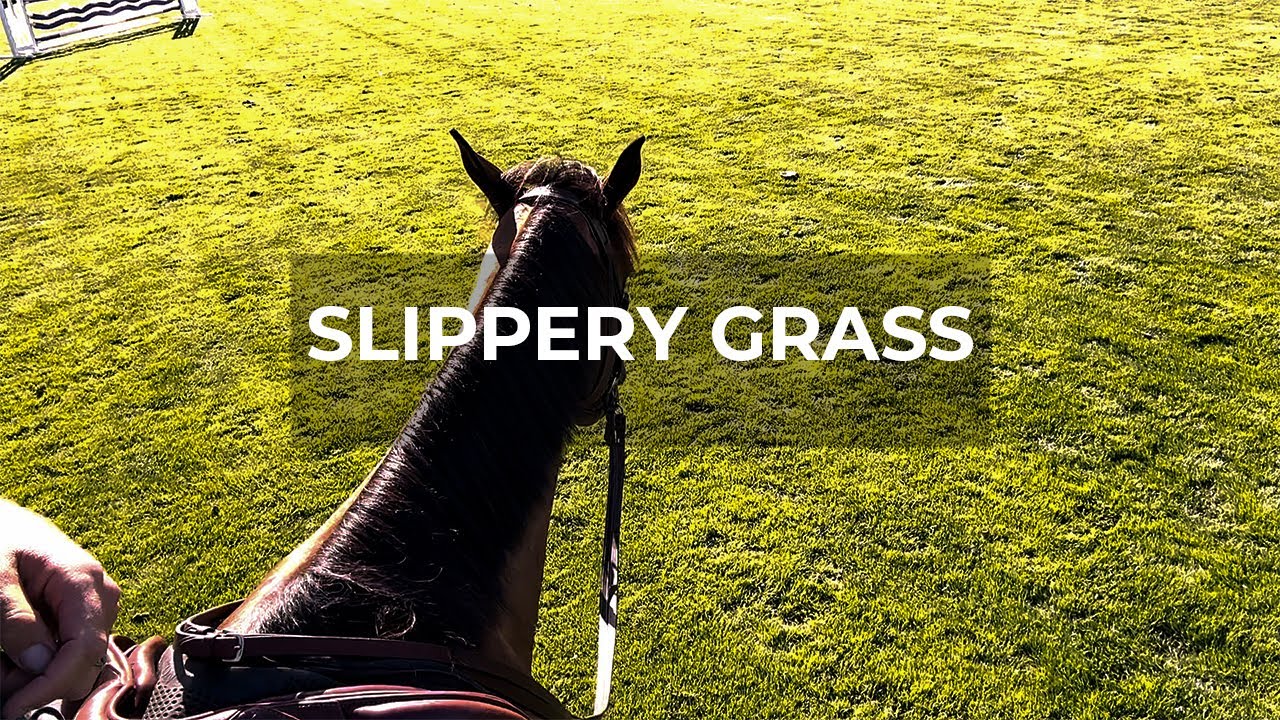 The Truth About 'Ideal' Footing: How Slippery Grass Benefits Horses - Walking & Talking