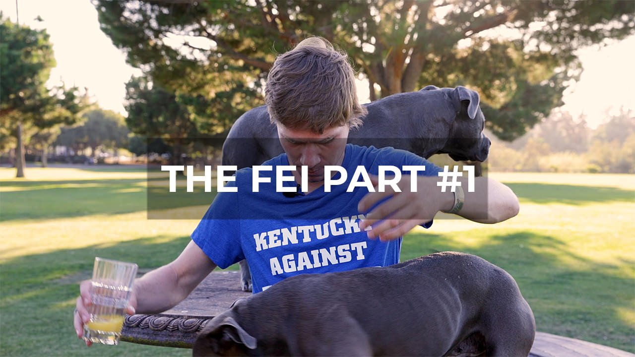 Understanding the FEI: Why Simple, Objective Rules Matter in Equestrian Sport - Part 1 - Walking & Talking