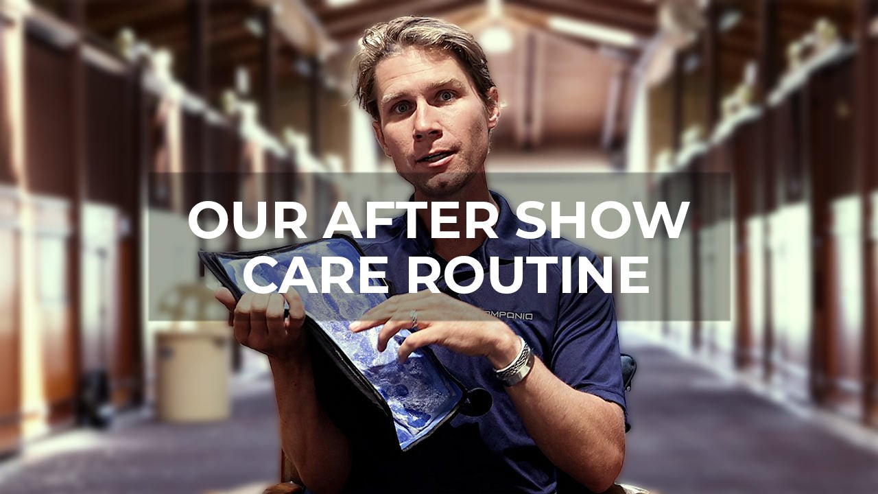 Unlock Our After Show Care Routine for Quick Horse Recovery - Walking & Talking