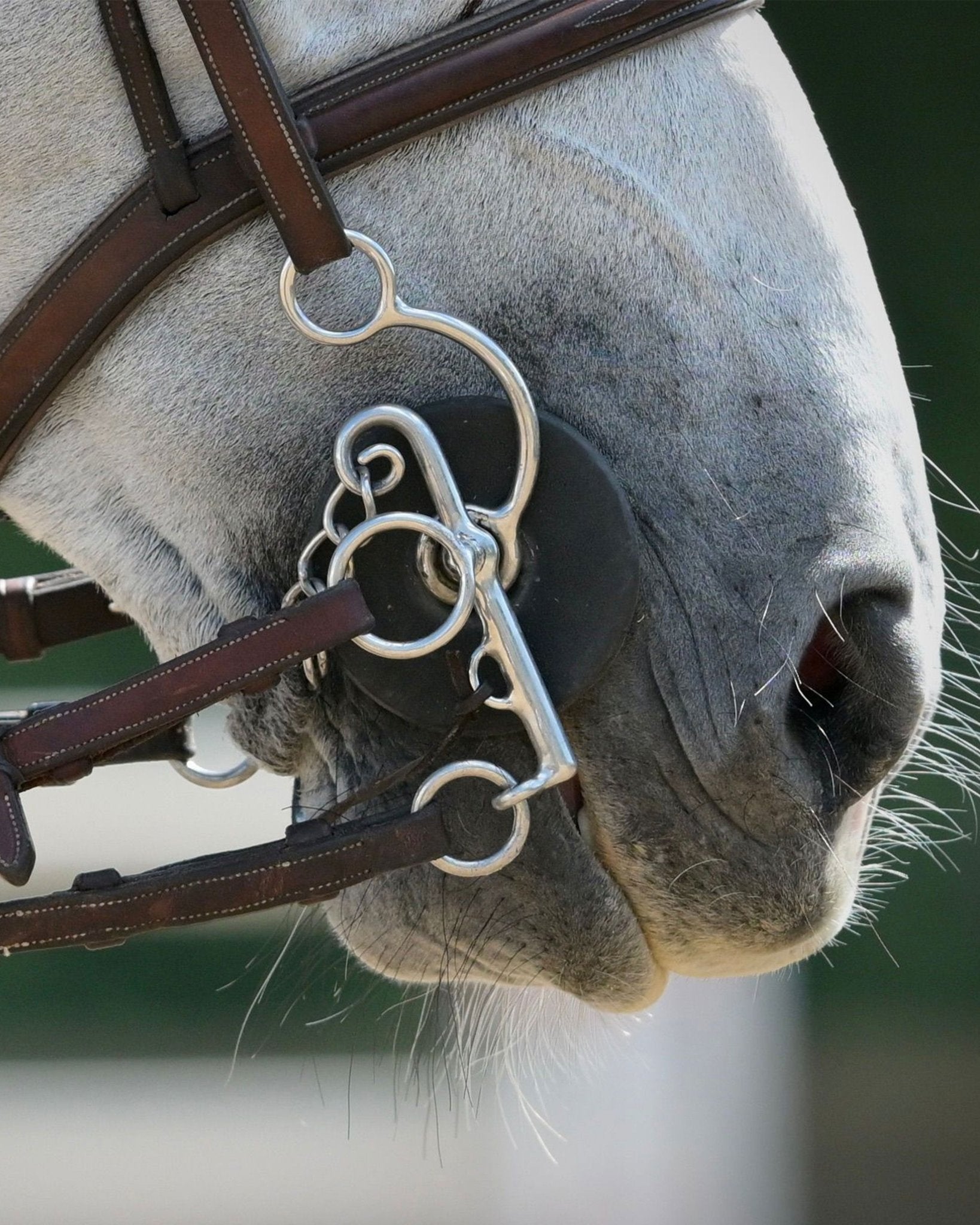 Leather Wrapped Swelham Bit by Karl Cook with ported mouthpiece, dual rein function, and 135mm mouthpiece.