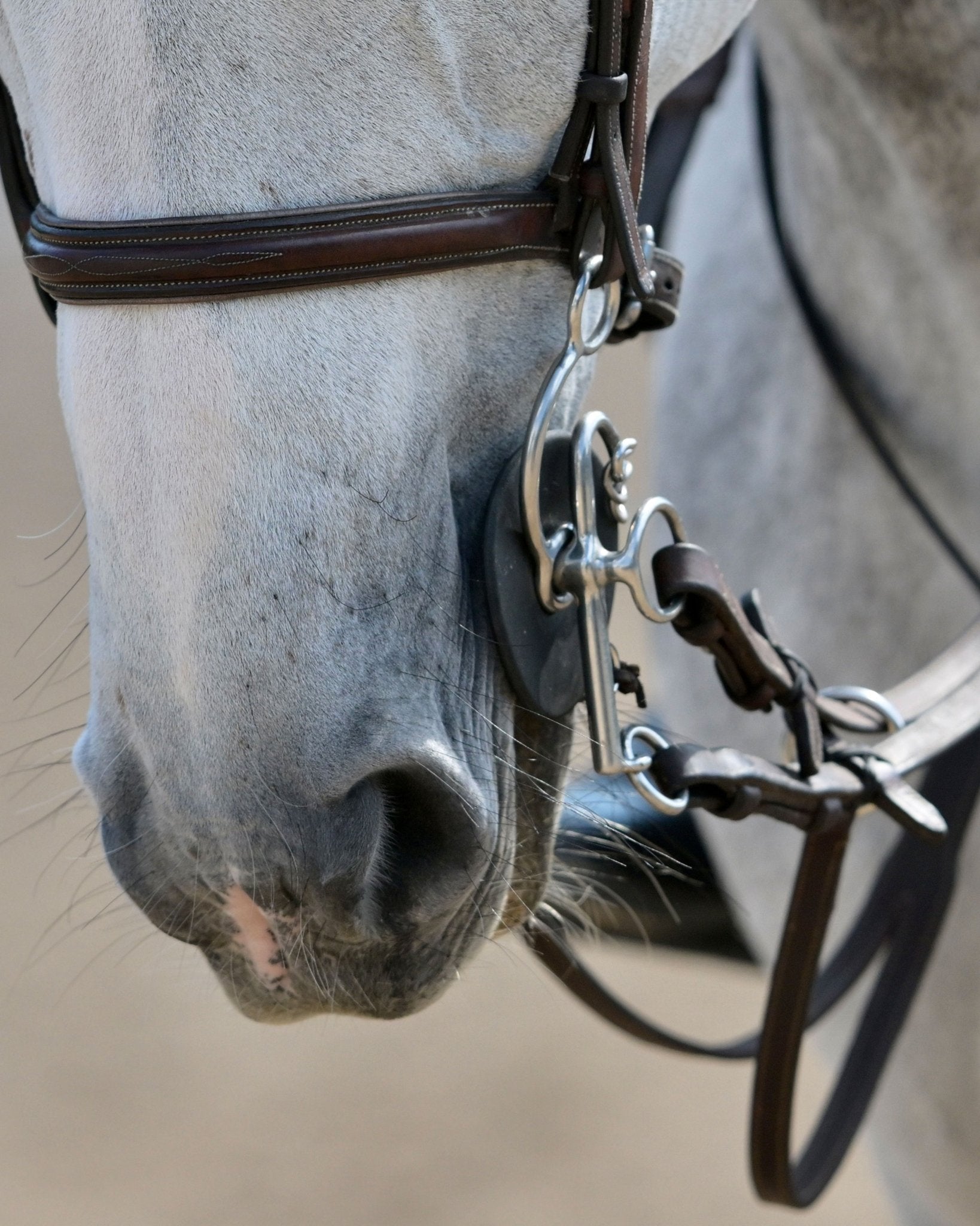 Leather Wrapped Swelham Bit by Karl Cook with ported mouthpiece, dual rein function, and 135mm mouthpiece.
