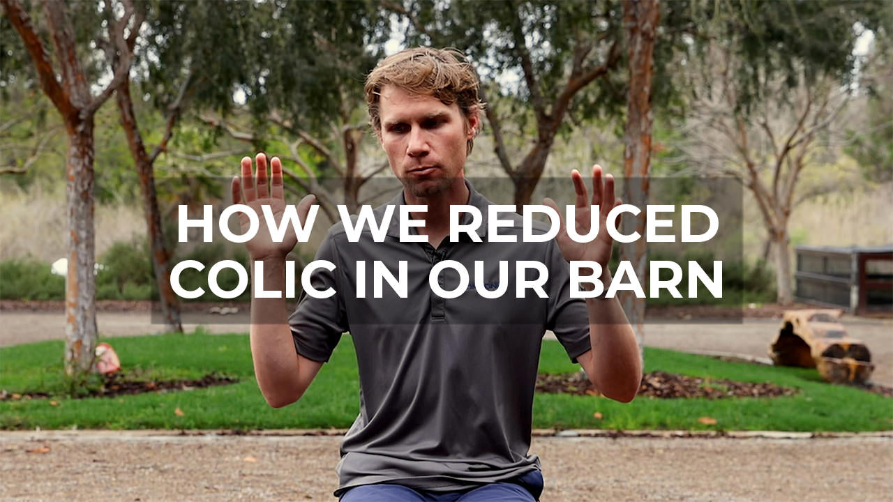 How We Reduced Colic In Our Barn