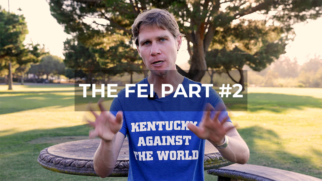 The FEI Part 2