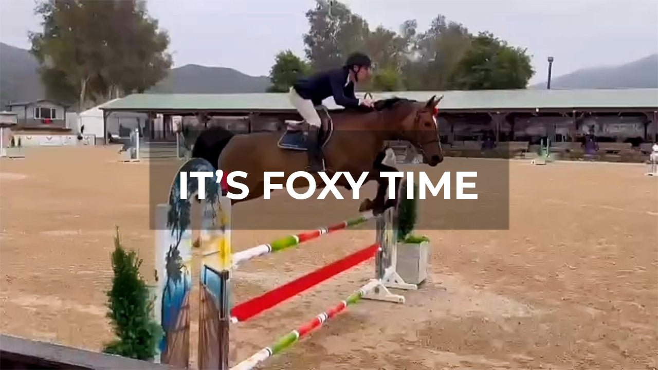 Can Foxy Handle Her First Show Jumping Course With Karl? - Walking & Talking