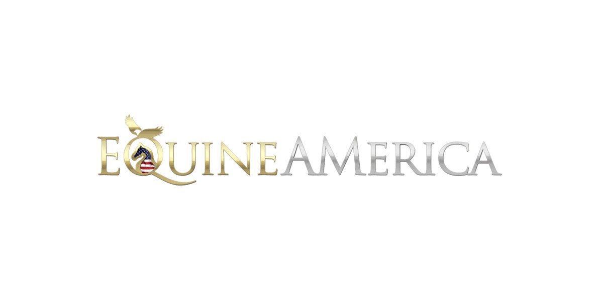 Equine America - Karl Cook and Caracole de la Roque Deliver Unprecedented Consistency in 5* European CSIO Shows - Walking & Talking