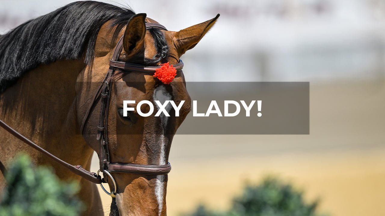 Five-Star Horse Show Adventure With Foxy